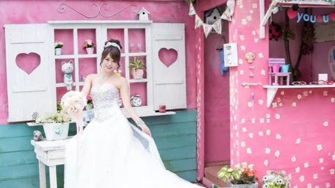 比亚迪宋PLUS停产内幕